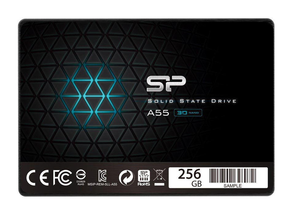SP256GBSS3A55S25
